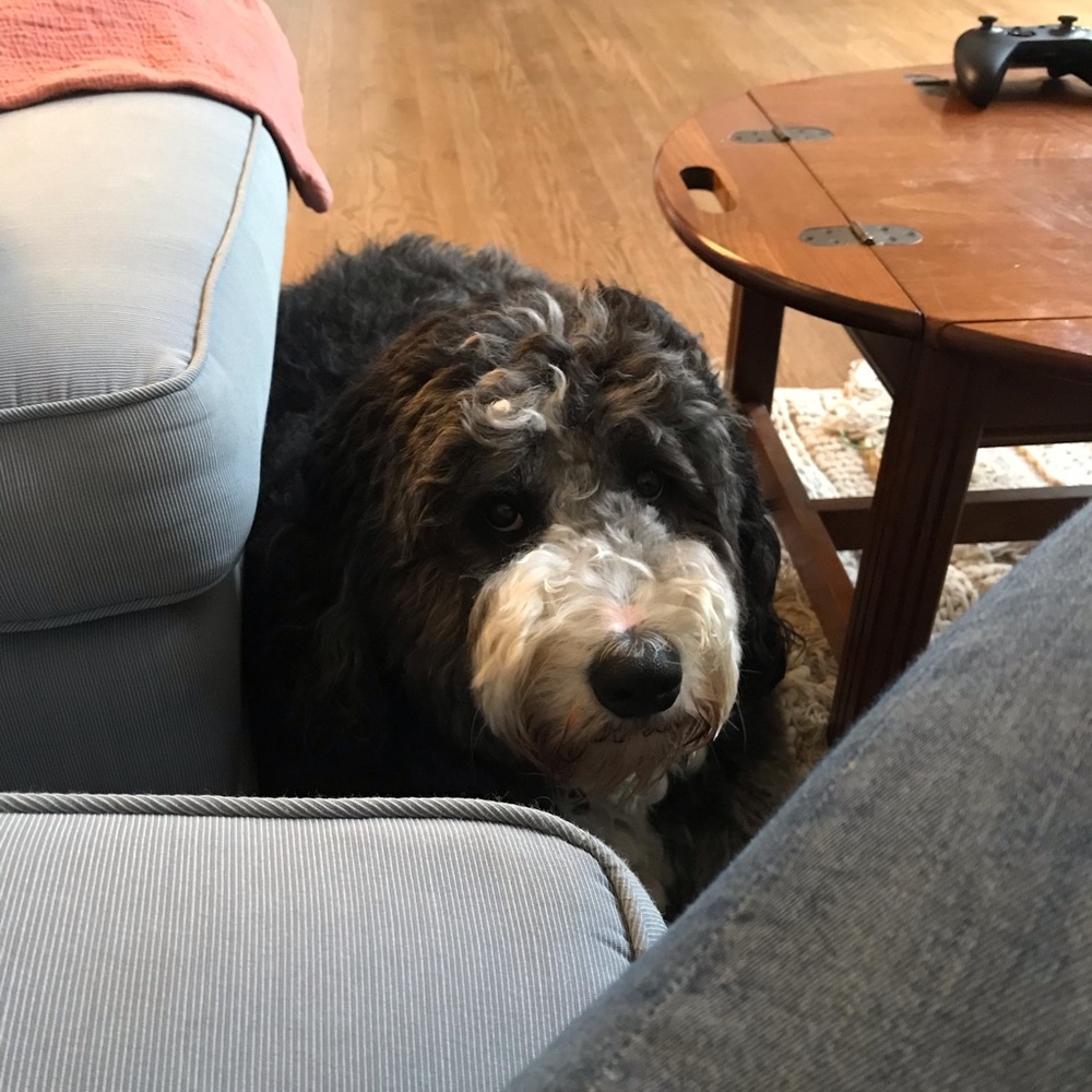 Meet your Posher, Camille